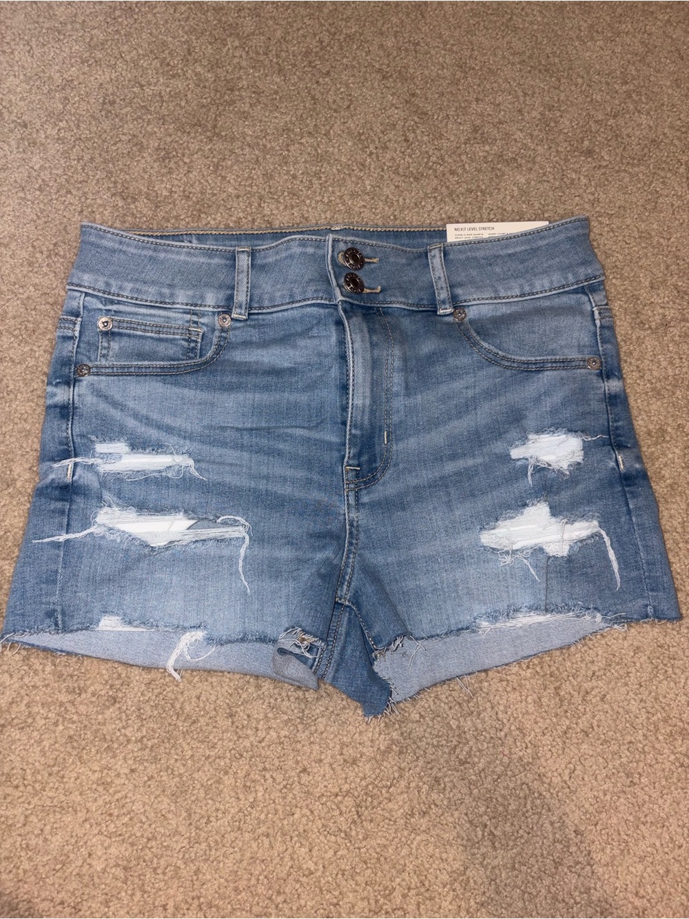 American Eagle Outfitters Light Blue Distressed Denim Shorts
